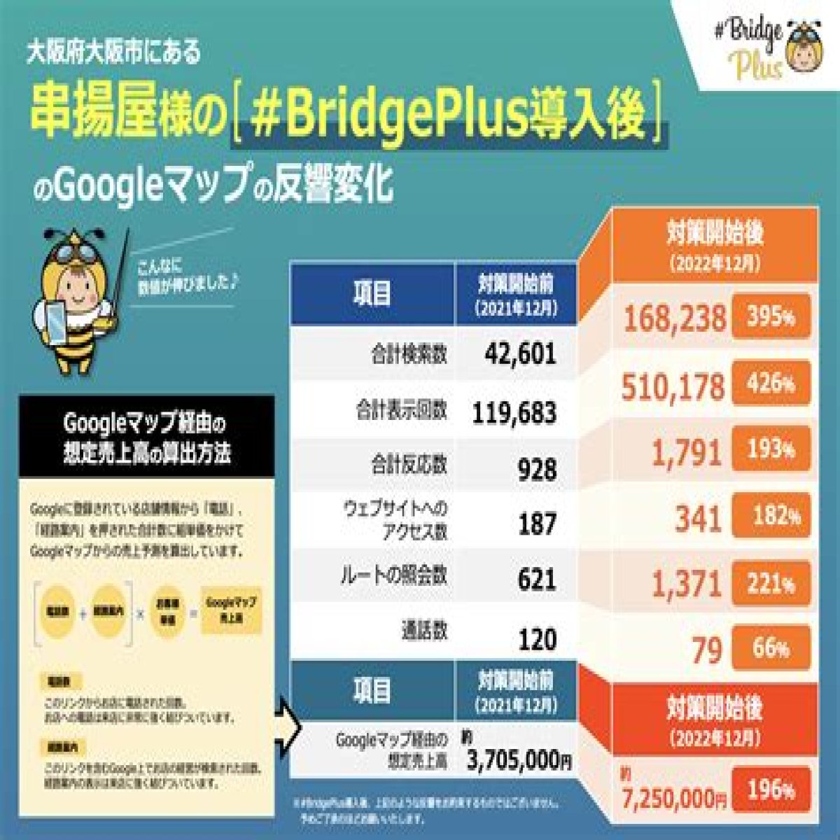 BridgePlus Manual